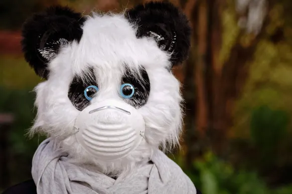 Stay Casino Ondersteuning